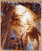 immagine Sant' andrea al Quirinale